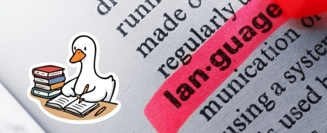 IELTS Resources That Actually Helped Me