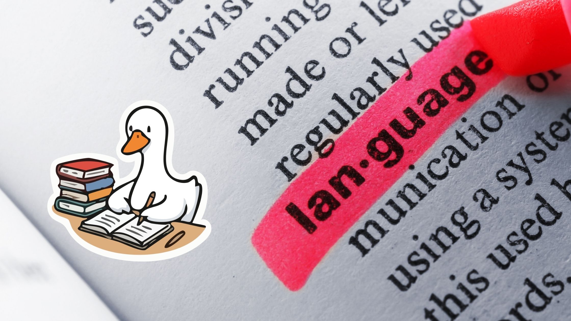IELTS Resources That Actually Helped Me